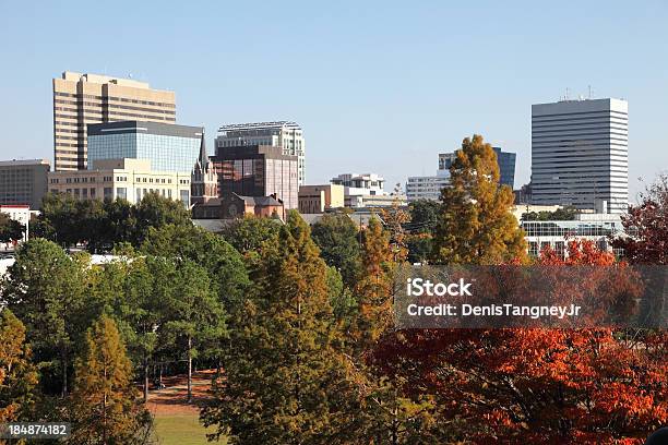 Columbia South Carolina - zdjęcia stockowe i więcej obrazów Stan Karolina Południowa - Stan Karolina Południowa, Columbia - Stan Karolina Południowa, Budynek kapitolu stanowego