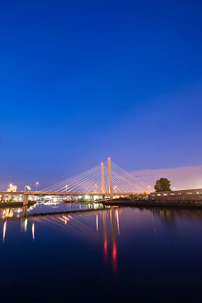 istock Bridge in Tacoma Washington at Night 184874217