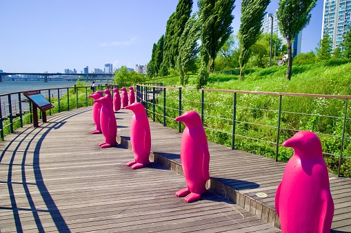 In a wide-angle shot, meter-tall pink penguins from Hangang Art Park's 'Cracking Art' installation stand out against the wind-swept trees along the Han River.
