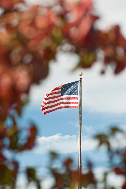 istock American flag behind fall foliage (Vert) XXXL 184874435