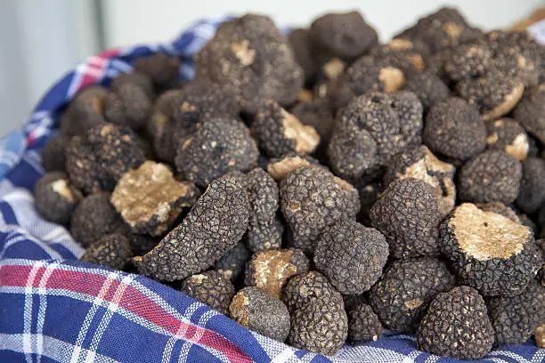 a basket of black truffles at an Italian gourmet market