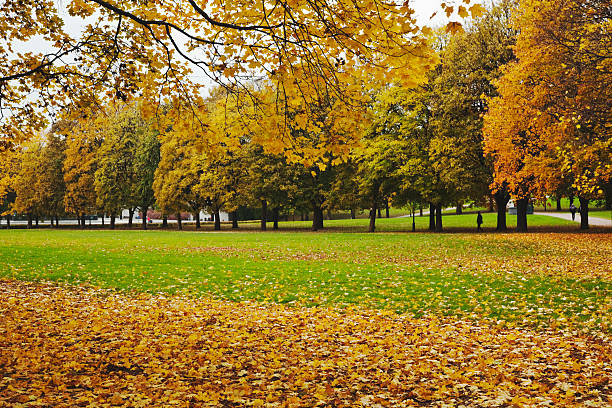 istock Park with  green lawn. 184874710