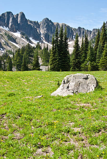 Glacial Erratic in an Alpine Meadow Whenever glaciers are nearby, you are sure to find large boulders known as glacial erratics. These boulders are deposited by the constant downhill movement of the glacier and left exposed as the glacier recedes. This glacial erratic was found in the alpine meadows at Upper Palisades Lake in Mount Rainier National Park, Washington State, USA. jeff goulden mount rainier national park stock pictures, royalty-free photos & images