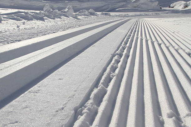 istock Track in snow for cross-country skiing 184875744