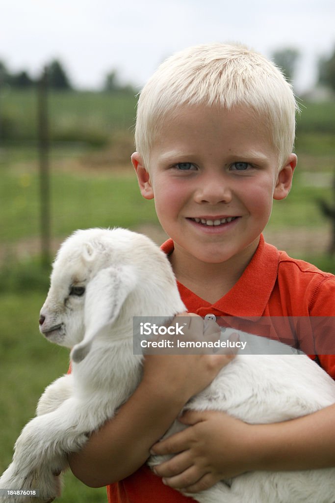 Farm Boy A happy boy embraces a newborn lamb on the farm. Child Stock Photo