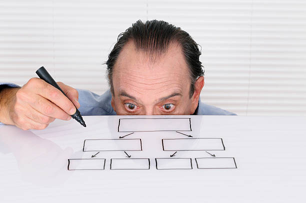 Funny Org Chart Stock Photos, Pictures & Royalty-Free Images - iStock