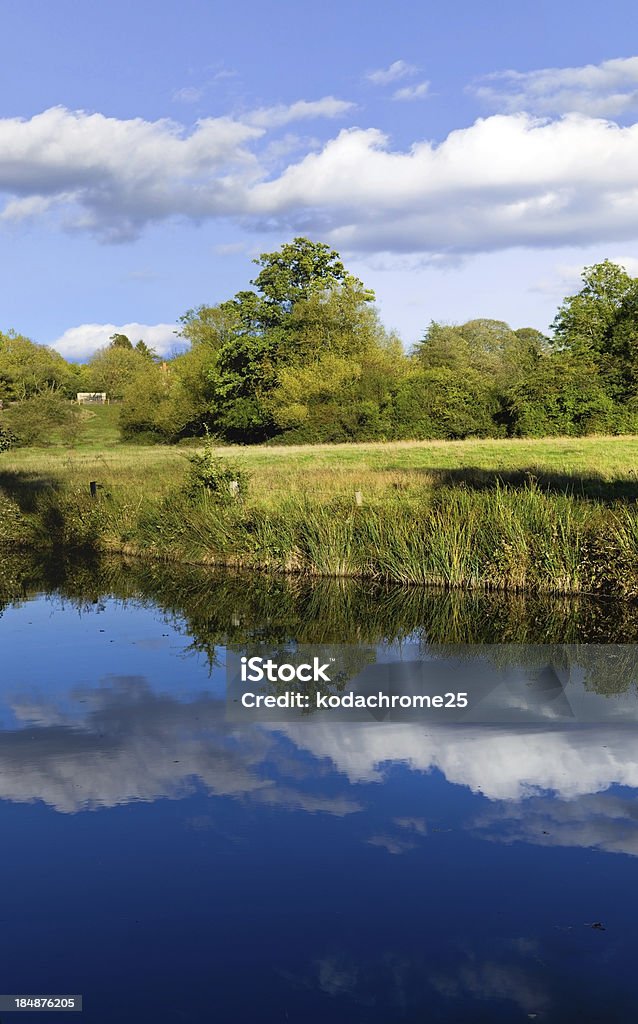 river the banks of a river or canal Bush Stock Photo