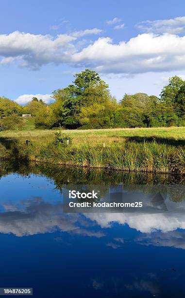 River Stock Photo - Download Image Now - Bush, Canal, Cloud - Sky