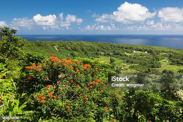 Vista Do Mar Na Ilha Tropicalmaui Hawaii - Fotografias de stock e mais imagens de Hana Coast - Hana Coast, Ao Ar Livre, Arbusto