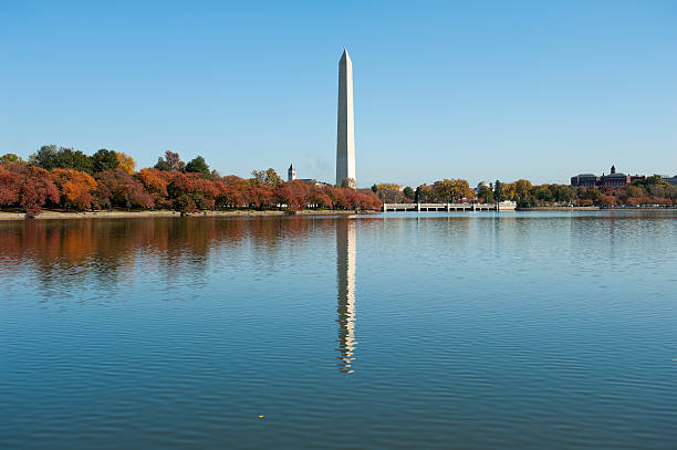 istock Washington monument at the mall, in DC with colorful tree 184877225