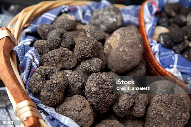 Black Truffles Stock Photo - Download Image Now - Black Truffle, Truffle - Fungus, Pesaro