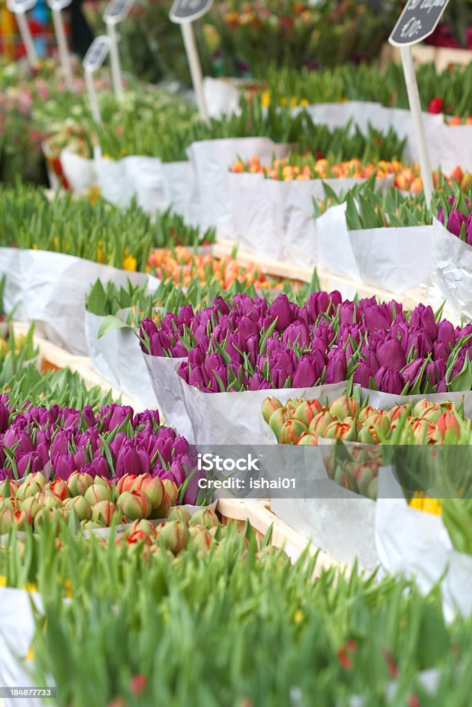 Tulipanes - Foto de stock de Amarillo - Color libre de derechos