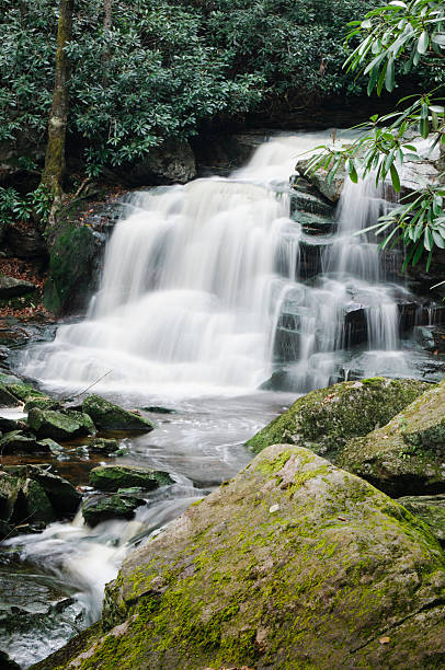 cataratas de lower elakala, west virginia - monongahela national forest landscapes nature waterfall fotografías e imágenes de stock
