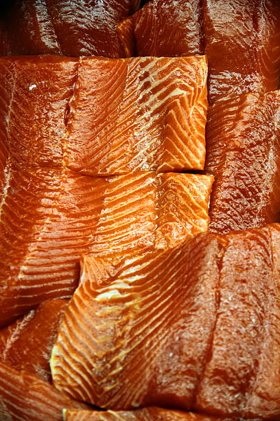 Salmon