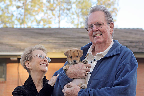 istock Senior Couple with New Puppy 184877951