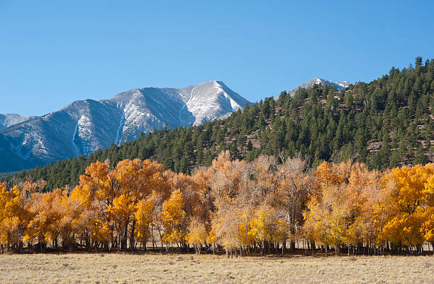 istock Autumn Colors in the Colorado Mountains 184878059