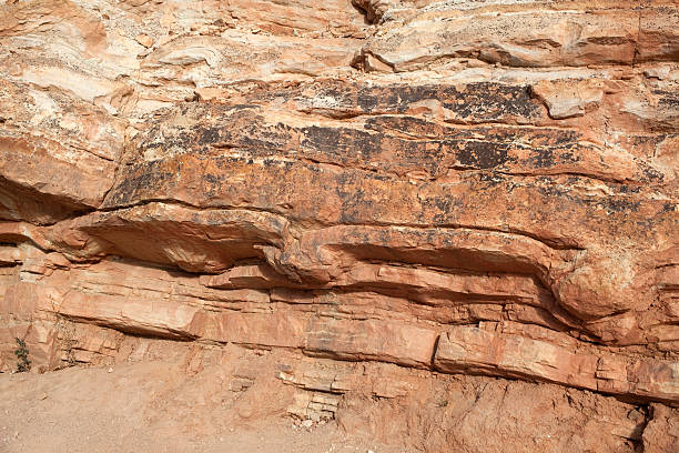 istock Brontosaur bulges dinosaur tracks in sandstone Morrison Colorado 184878174