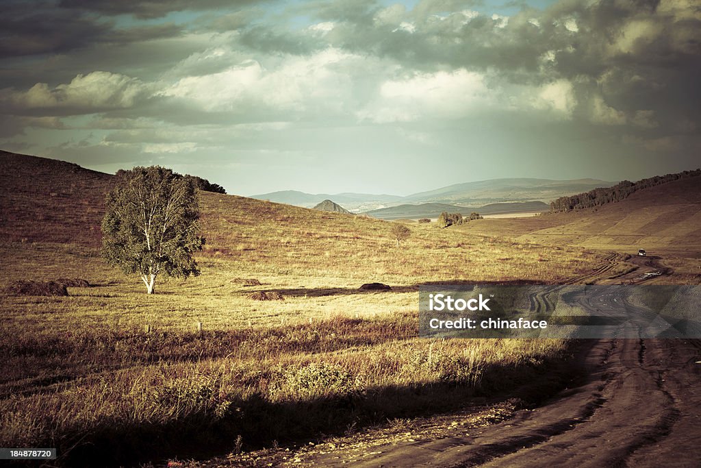 road con pista conduce a valley - Foto de stock de Agricultura libre de derechos