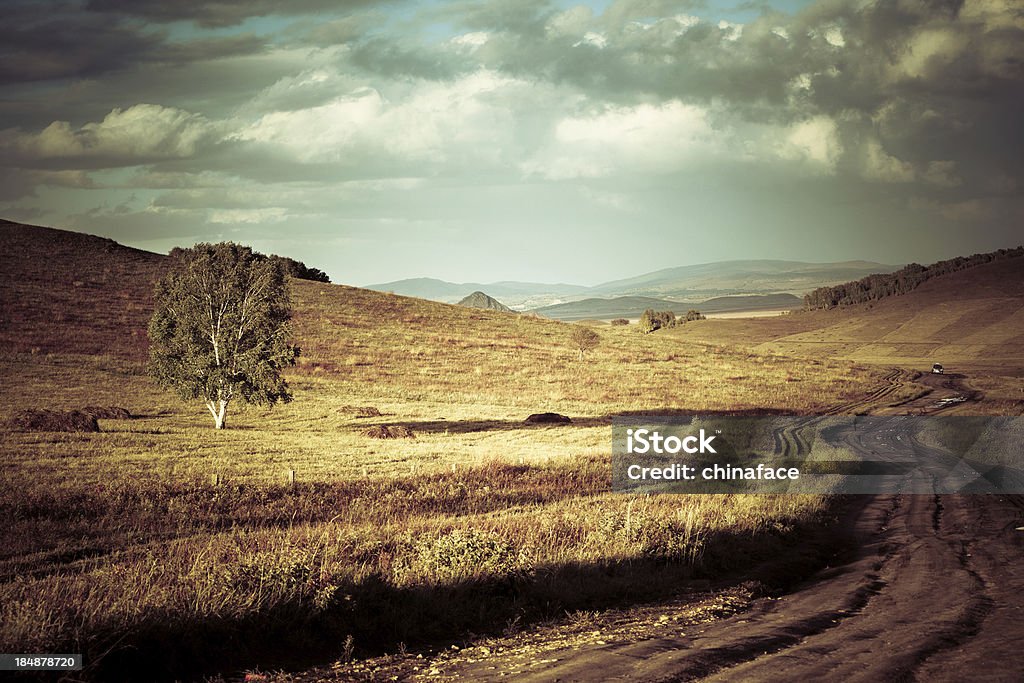 Estrada com pista leva ao vale - Foto de stock de Agricultura royalty-free