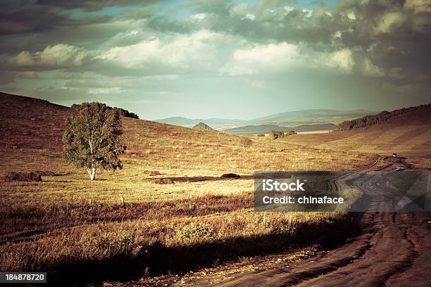 Foto de Estrada Com Pista Leva Ao Vale e mais fotos de stock de Agricultura - Agricultura, Ajardinado, Beleza