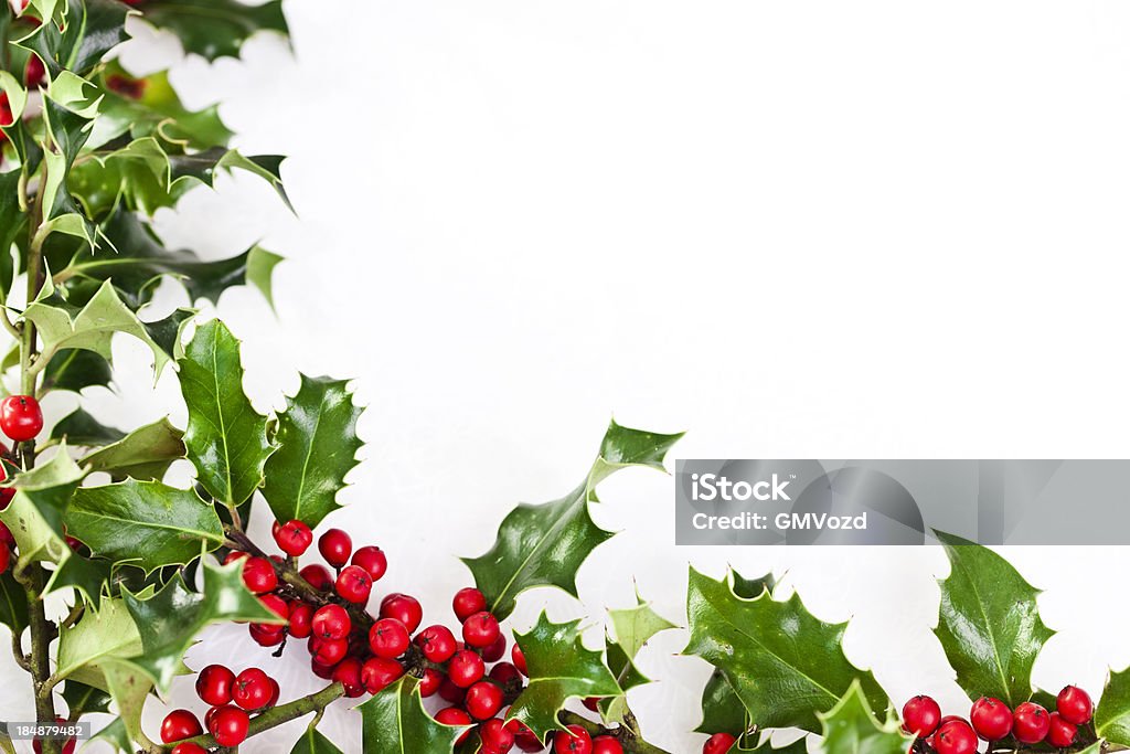 Acebo de Navidad decoración - Foto de stock de Acebo libre de derechos