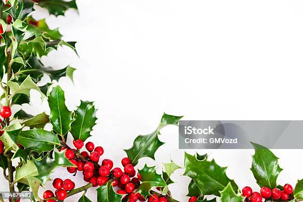 Boże Narodzenie Holly Dekoracja - zdjęcia stockowe i więcej obrazów Bez ludzi - Bez ludzi, Boże Narodzenie, Czerwony