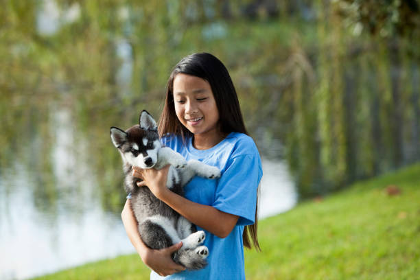 istock Girl holding puppy 184879524