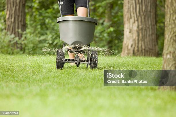 Fertilizer Spreader With Pellets Spraying On Grass Stock Photo - Download Image Now - Fertilizer, Lawn, Yard - Grounds