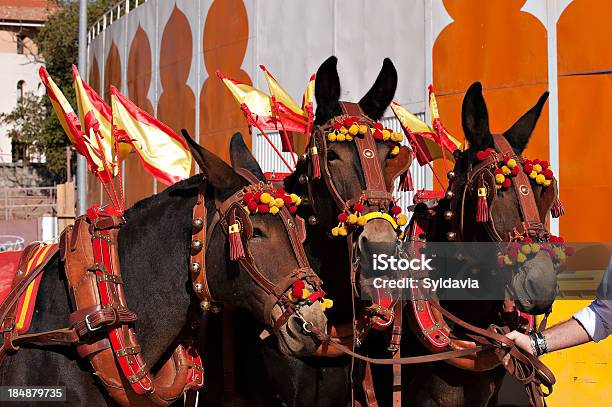 Bullring Mules Drag Stock Photo - Download Image Now - Ammunition, Animal, Bullfight