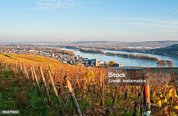 Rüdesheim In Deutschland Stockfoto und mehr Bilder von Herbst - Herbst, Rhein, Landschaft