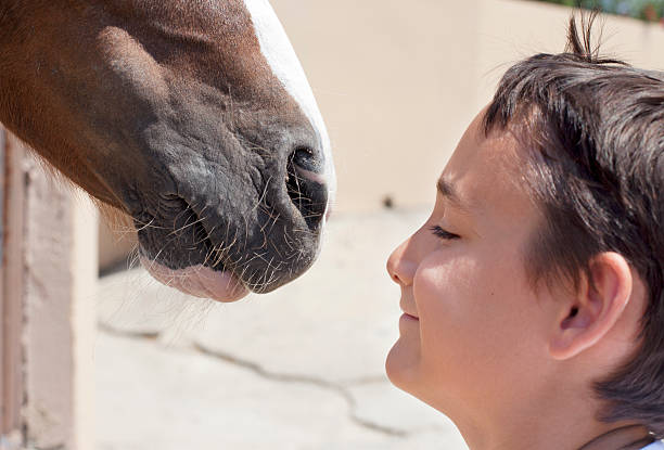 istock Funny Day With Horse 184879905