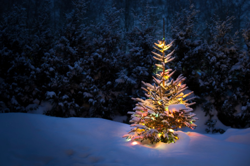 3d rendering of a illuminated Christmas tree in snowy winter landscape