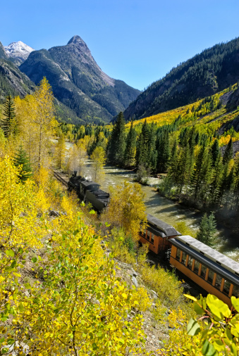 Silverton Durango Railroad.  Scenic area along the Animas RIver with narrow-gauge train in steep rugged mountain canyon.  Scenic route with autumn fall colors and sunny blue-sky day.  Captured as a 14-bit Raw file. Edited in ProPhoto RGB color space.