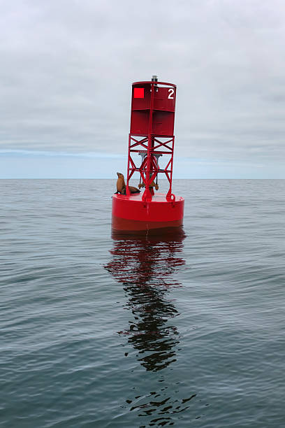 A red buoy in the ocean with a sea lion on it.