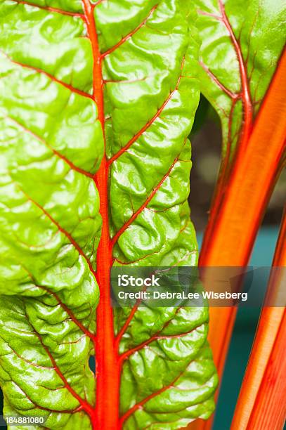 Swiss Chard Stock Photo - Download Image Now - Close-up, Ruby Red Chard, Beta Carotene