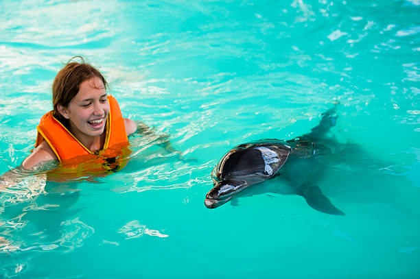 istock Young women swimming with the dolphin 184881471