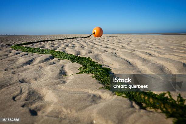 Orange Boje Stockfoto und mehr Bilder von Alge - Alge, Ankertau, Anlegestelle