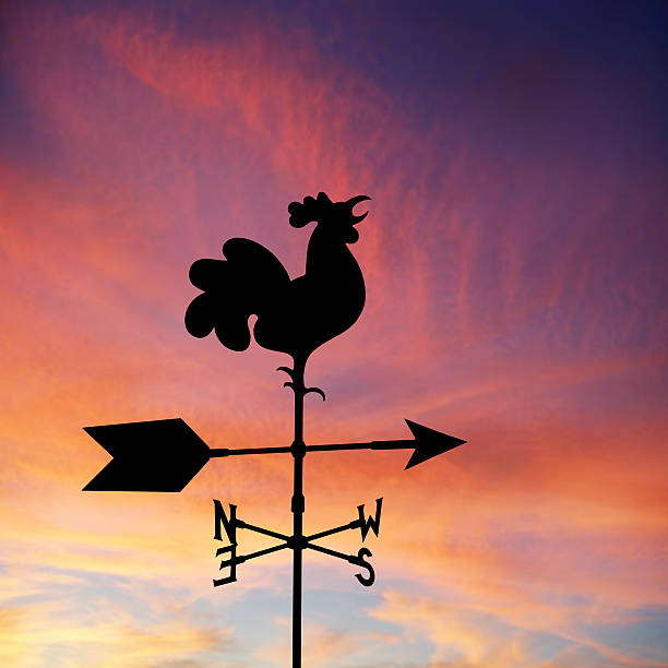 xxl vento vane silhouette - meteorology weather vane direction wind foto e immagini stock