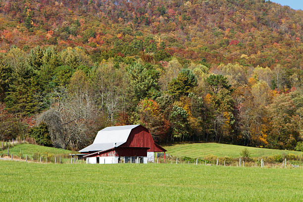 istock Barn in the North Carolina hillside 184882966