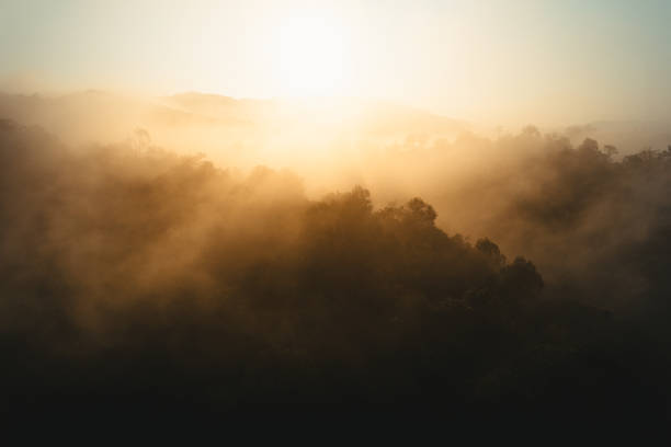 istock Foggy sunrise in the mountains in summer 1848834447