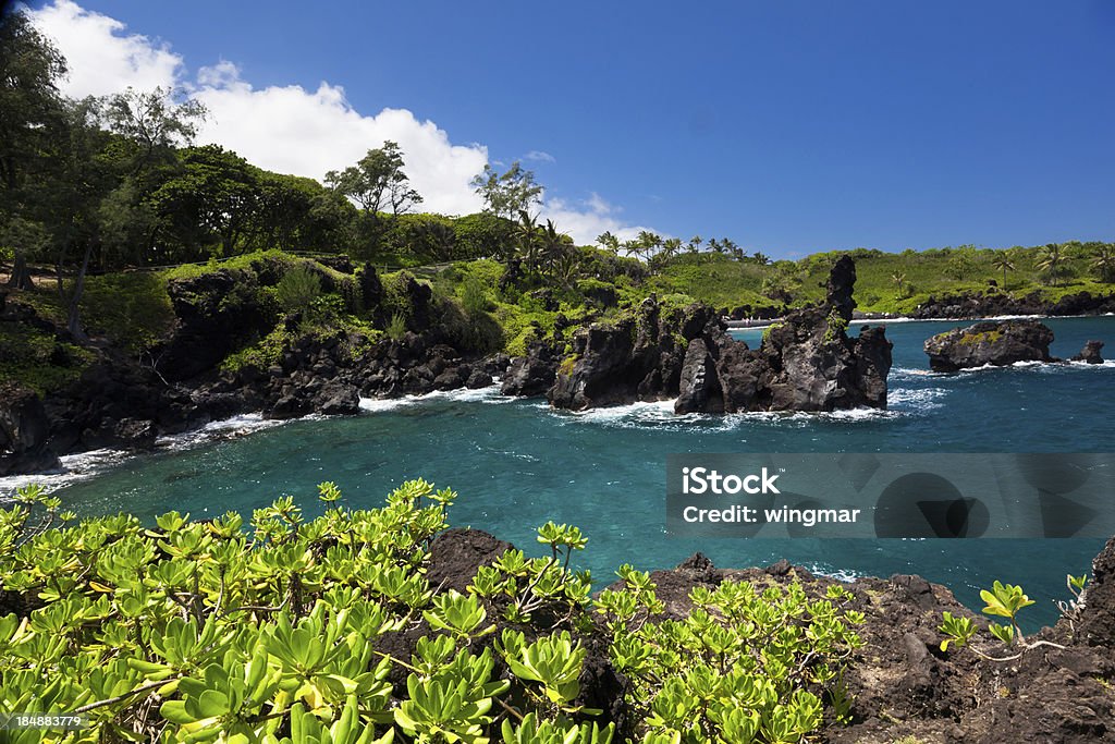 Idyllique bay avec arbre et bleu de l'océan, de l'île de maui, Hawaï - Photo de Parc d'État de Waianapanapa libre de droits