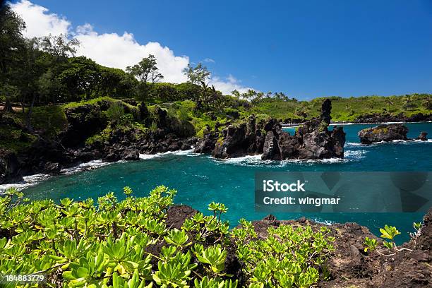 Photo libre de droit de Idyllique Bay Avec Arbre Et Bleu De Locéan De Lîle De Maui Hawaï banque d'images et plus d'images libres de droit de Parc d'État de Waianapanapa