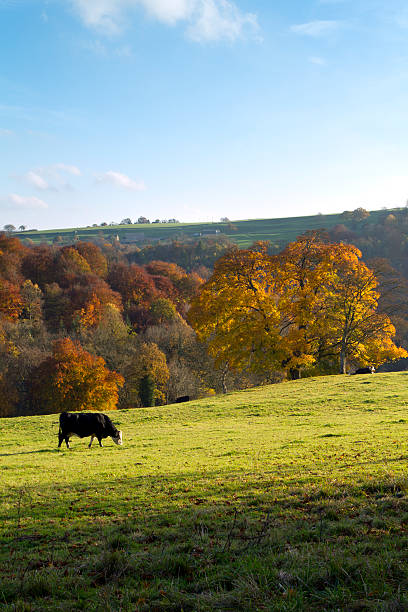 istock Scenic Cotswolds - Autumn 184883790