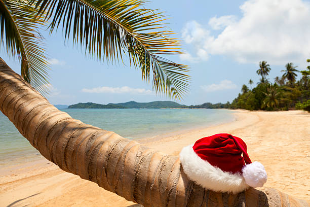 Santa hat on Palm Tree. tropical  beach