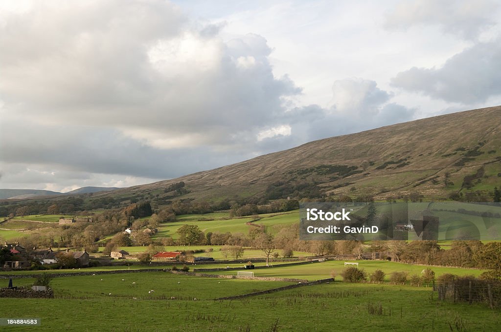 View of Dentdale in Cumbria View looking north west of the beautiful valley of Dentdale next to the village of Dent on autumn afternoon. Farms and homes can be seen. This area used to be in Yorkshire prior to 1974 boundary changes. Dent is just outside the town of Sedbergh. Agricultural Field Stock Photo