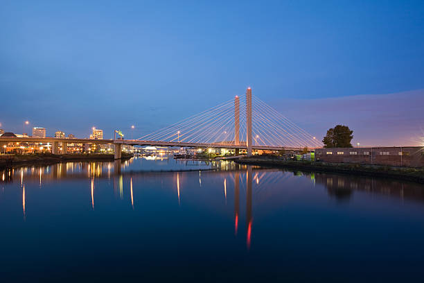istock Bridge in Tacoma Washington at Night 184884603