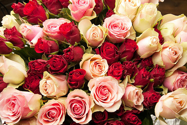 大型のバラの花束ます。 - dozen roses rose flower arrangement red ストックフォトと画像