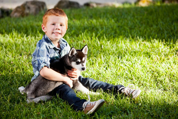 istock Little boy holding husky puppy 184884644
