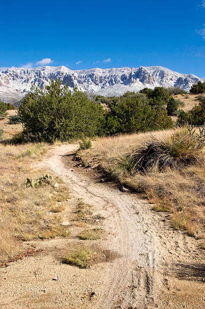 This picture shows a drive riverbed or wash in the Saguaro National Park near Tucson, Arizona.  This particular wash is called the Javelina Wash because of the javelinas that can be found nearby.