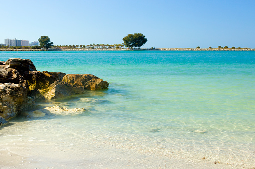 A beautiful sandy beach near a dense tropical forest. Sunny weather.